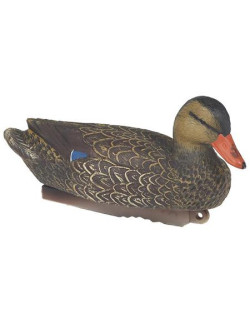 Colvert  Hd