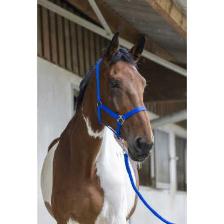 Longe cheval anti-panique 2 m Economic Waldhausen - Equestra
