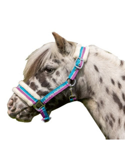 Licol Funny Horses HKM Kids