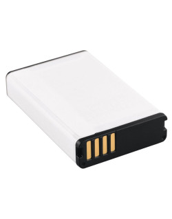 Batterie télécommande Alpha 100 Garmin 
