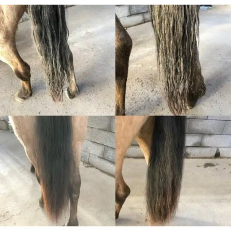 Démêlant Lustrant crins chevaux Horse Care